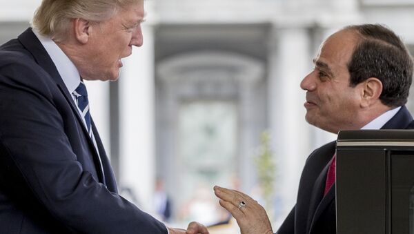 رئيس مصر عبدالفتاح السيسي خلال اللقاء مع رئيس الولايات المتحدة دونالد ترامب، 3 أبريل/ نيسان 2017 - سبوتنيك عربي