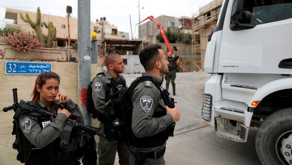 عناصر من الشرطة الإسرائيلية - سبوتنيك عربي