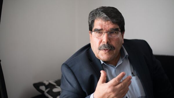 صالح مسلم أحد رؤساء حزب الاتحاد الديمقراطي الكردستاني - سبوتنيك عربي