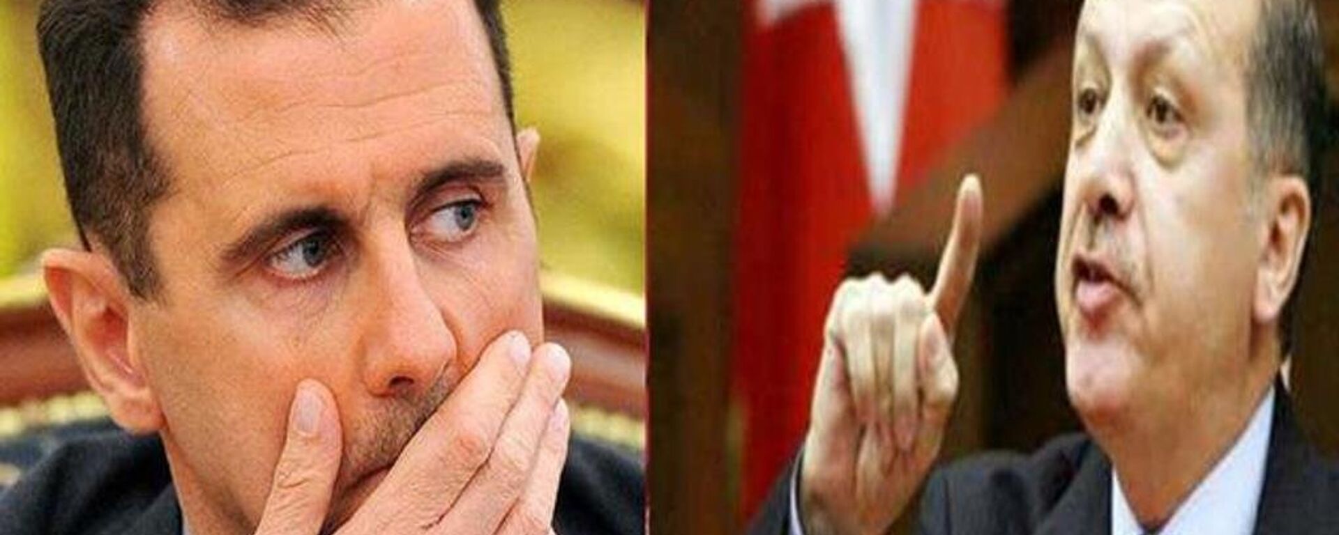 الأسد و أردوغان - سبوتنيك عربي, 1920, 09.08.2022