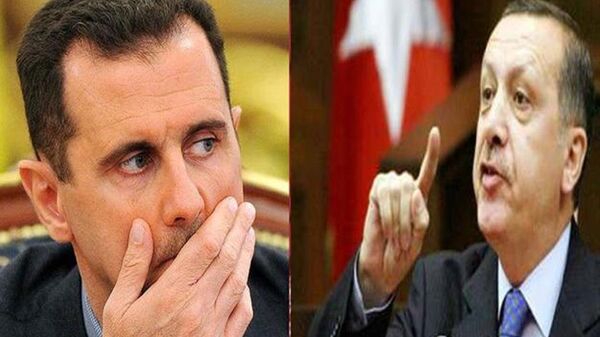 الأسد و أردوغان - سبوتنيك عربي