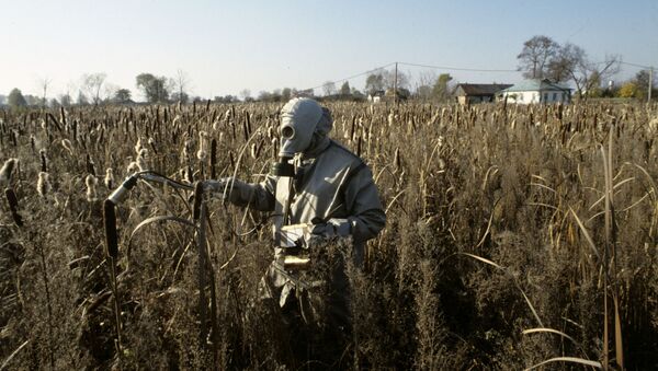 كارثة تشيرنوبيل - شخص يرتدي زياً واقياً يفحص معدل الاشعاع النووي للمزروعات في إحدى القرى المجاورة لمحطة تشيرنوبيل - سبوتنيك عربي