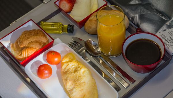 وجبة في الطائرة - سبوتنيك عربي