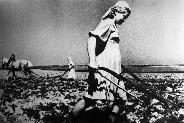 الحرب الوطنية العظمى (1941-1945) - النساء يقمن بحرث الحقول خلال سنوات الحرب - سبوتنيك عربي