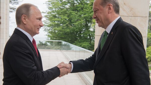 لقاء الرئيس الروسي فلاديمير بوتين بالرئيس التركي رجب طيب أردوغان في مدينة سوتشي، 3 مايو/ آيار 2017 - سبوتنيك عربي