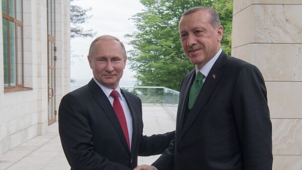 لقاء الرئيس الروسي فلاديمير بوتين بالرئيس التركي رجب طيب أردوغان في مدينة سوتشي، 3 مايو/ آيار 2017 - سبوتنيك عربي