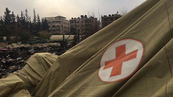 المستشفى العسكري الروسي التابع لوزارة الطوارئ الروسية - سبوتنيك عربي