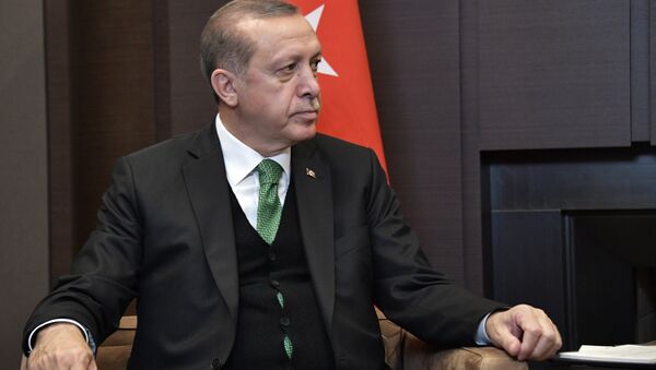 الرئيس التركي رجب طيب أردوغان خلال لقاء نظيره الرئيس فلاديمير بوتين في مدينة سوتشي، 3 مايو/ آيار 2017 - سبوتنيك عربي
