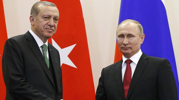 المؤتمر الصحفي للرئيس الروسي فلاديمير بوتين والرئيس التركي رجب طيب أردوغان - سبوتنيك عربي