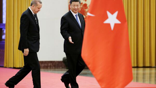 أردوغان والرئيس الصيني - سبوتنيك عربي