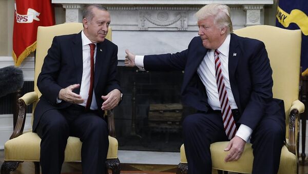أردوغان وترامب - سبوتنيك عربي