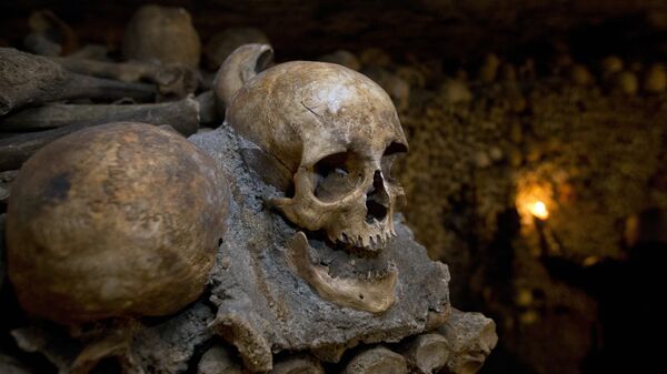 In this photo taken Tuesday, Oct. 14, 2014, skulls and bones are stacked at the Catacombs in Paris, France - سبوتنيك عربي