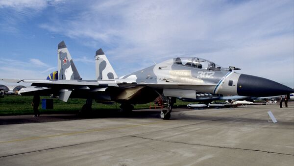 Su-30M fighter - سبوتنيك عربي