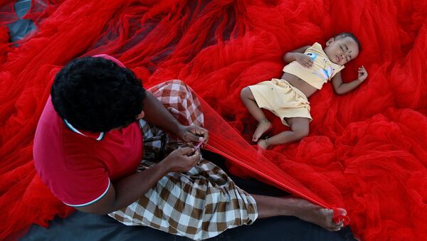 طفل هندي ينام على شبكة صيد في كوتشي، الهند 23 مايو/ آيار 2017 - سبوتنيك عربي