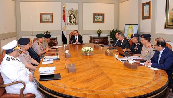 مجلس الدفاع في مصر - سبوتنيك عربي