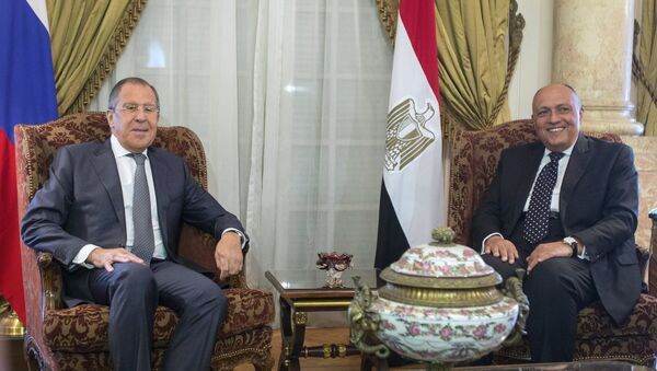 زيارة وزير الخارجية الروسي سيرغي لافروف إلى مصر - سبوتنيك عربي