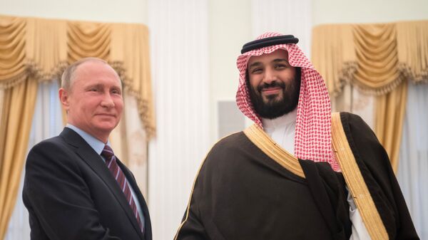 لقاء رئيس روسيا وولي ولي العهد السعودي - سبوتنيك عربي