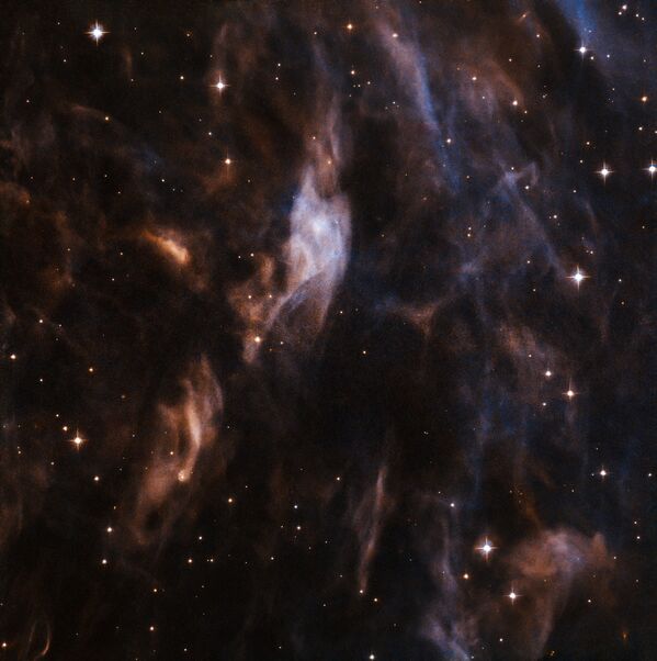 تلسكوب هابل (Hubble) يتلقط صورة لسديم Sh2-308 الذي يحيط بنجم ضخم EZ في كوكبة الكلب الأكبر - سبوتنيك عربي