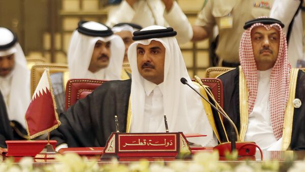 أمير قطر الشيخ تميم بن حمد آل ثاني - سبوتنيك عربي