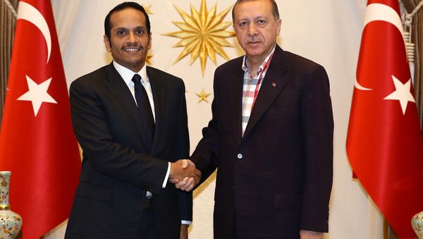 وزير الخارجية القطري محمد بن عبد الرحمن آل ثاني يلتقي بالرئيس التركي رجب طيب أردوغان - سبوتنيك عربي