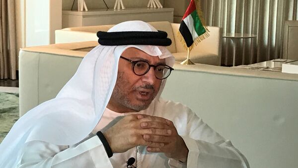 وزير خارجية الإمارات أنور قرقاش - سبوتنيك عربي