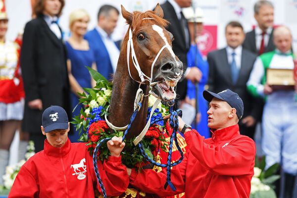 كونارد لورد، الفائز بجائزة رئيس روسيا - 2017 لسباق الخيول في موسكو - سبوتنيك عربي