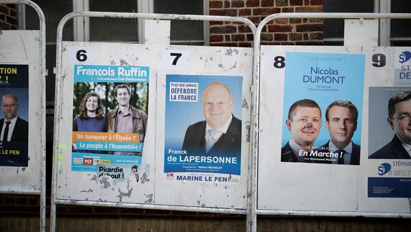 الانتخابات التشريعية الفرنسية - سبوتنيك عربي