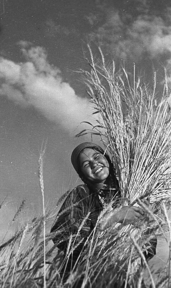 حصاد الحبوب في الحقول، جمهورية تركمانستان الاشتراكية السوفياتية عام 1939 - سبوتنيك عربي