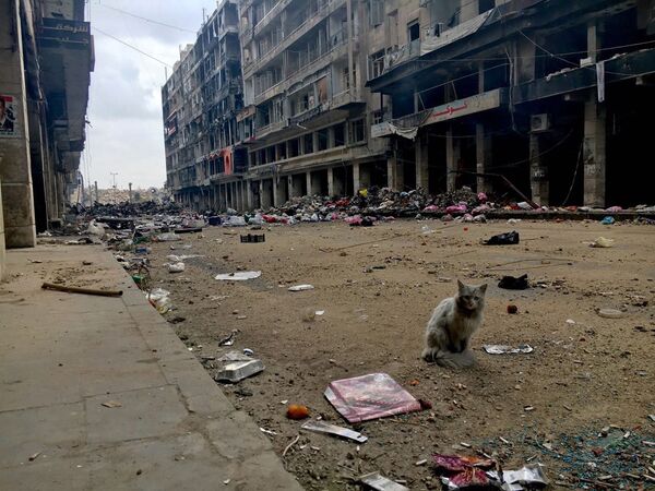 مدينة حلب السورية - سبوتنيك عربي