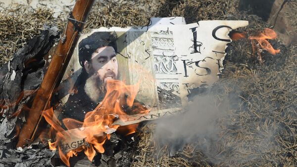 حرق صورة البغدادي - سبوتنيك عربي