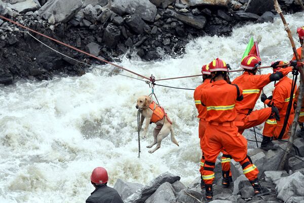رجال إنقاذ ينفذون عملية إنقاذ كلب في الصين - سبوتنيك عربي