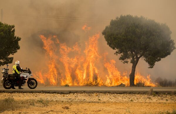 شرطي يراقب حرائق الغابات في إسبانيا - سبوتنيك عربي