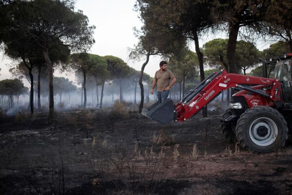 رجل يساعد بإطفاء الحرائق في جنوب إسبانيا - سبوتنيك عربي