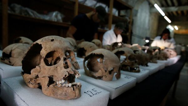 جماجم بشرية مكتشفة في المكسيك - سبوتنيك عربي