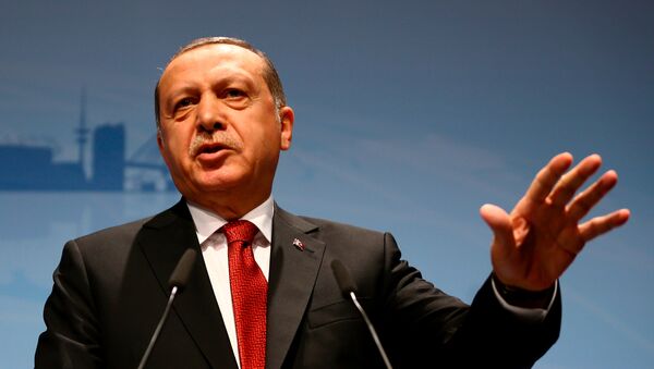 أردوغان في هامبورغ - سبوتنيك عربي