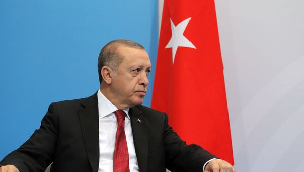 الرئيس التركي إردوغان - سبوتنيك عربي