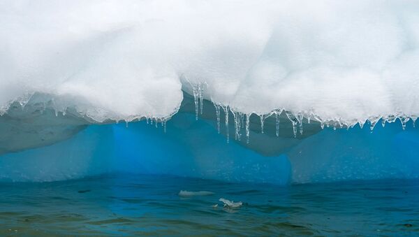 ذوبان الجليد في القطب الجنوبي - سبوتنيك عربي