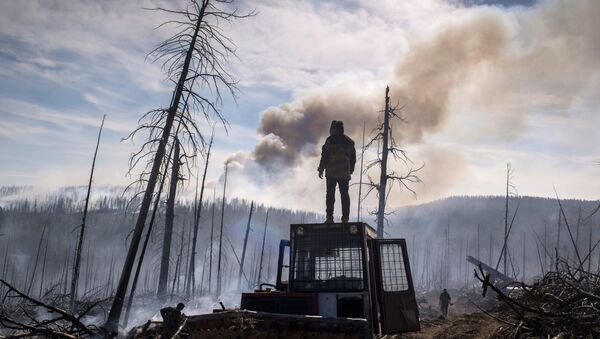 أحد عناصر حرتس حماية الغابات في جمهورية بورياتيا خلال القضاء على حرائق حي كابانسك في بورياتيا، روسيا الاتحادية - سبوتنيك عربي