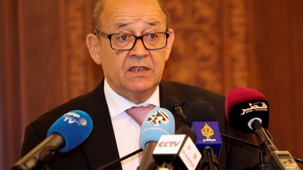 وزير الخارجية الفرنسي - سبوتنيك عربي