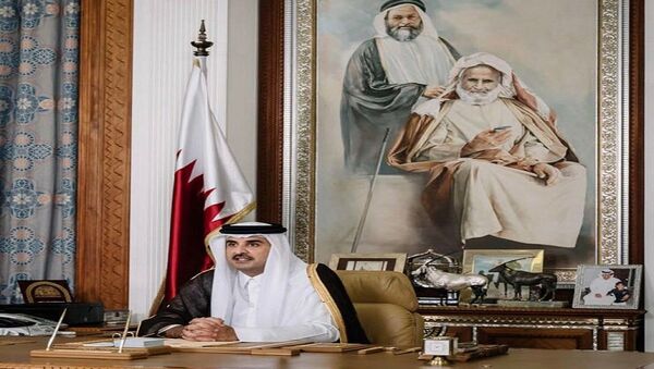 أمير قطر - سبوتنيك عربي