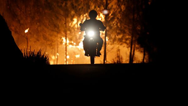 رجل الاطفاء راكبا دراجته النارية، يهرب بعيدا عن حريق الغابات المندلعة بالقرب من قرية ماكاو، بالقرب من كاستيلو برانكو، البرتغال 26 يوليو/ تموز 2017 - سبوتنيك عربي