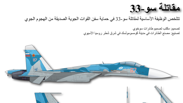 مقاتلة سو-33 - سبوتنيك عربي