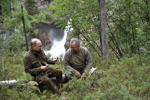 الرئيس فلاديمير بوتين ووزير الدفاع سيرغي شويغو خلال جمع الفطر في غابة  في جمهورية تيفا، روسيا (1-3) أغسطس/ آب) - سبوتنيك عربي