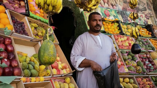 بائع فاكهة في مصر - سبوتنيك عربي