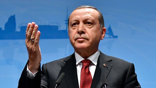 الرئيس التركي أردوغان - سبوتنيك عربي