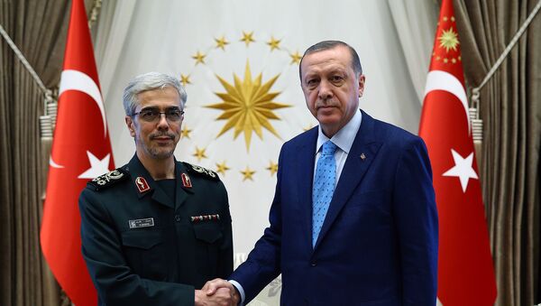 أردوغان ومحمد باقري - سبوتنيك عربي