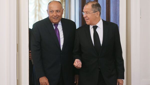 وزير خارجية روسيا و وزير خارجية مصر - سبوتنيك عربي