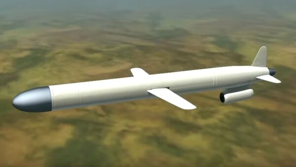 صاروخ إكس-101 - سبوتنيك عربي