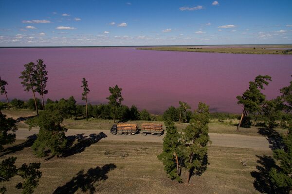 بحيرة التوت (مالينوفويه أوزيرو في منطقة ميخايلوفسك في ألتاي، روسيا - سبوتنيك عربي