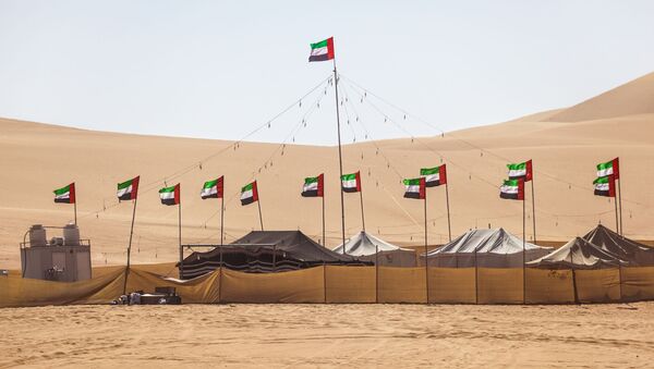 أعلام إماراتية في صحراء، دبي، الإمارات، الشرق الأوسط - سبوتنيك عربي